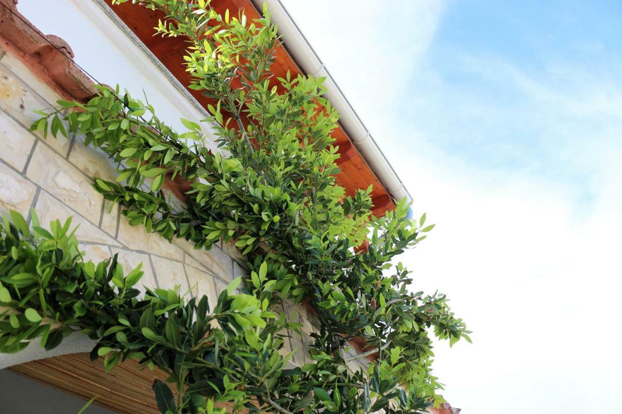 Apartments Vir Delfin Exterior foto